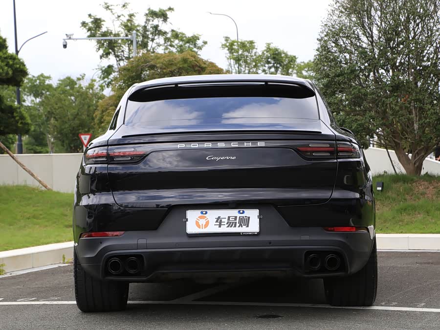 Porsche Cayenne 2020, фото 23