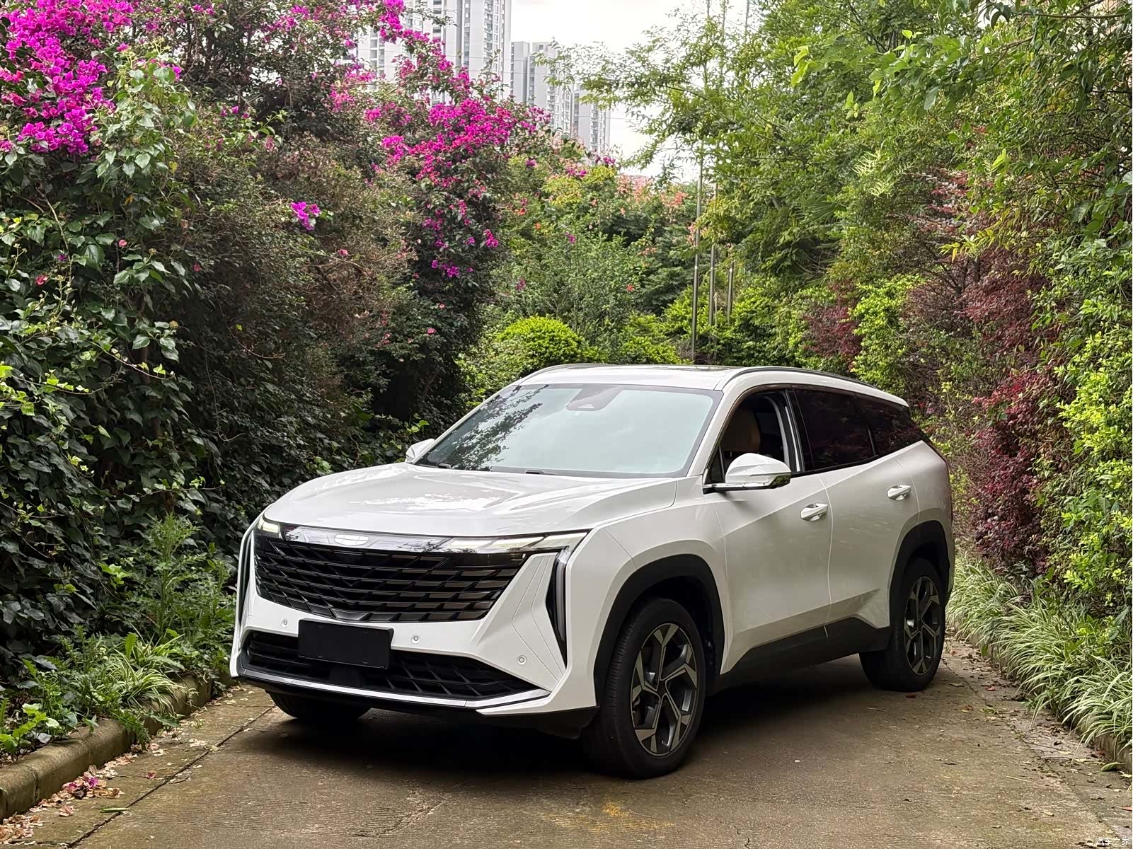 Geely Boyue, 2023 1