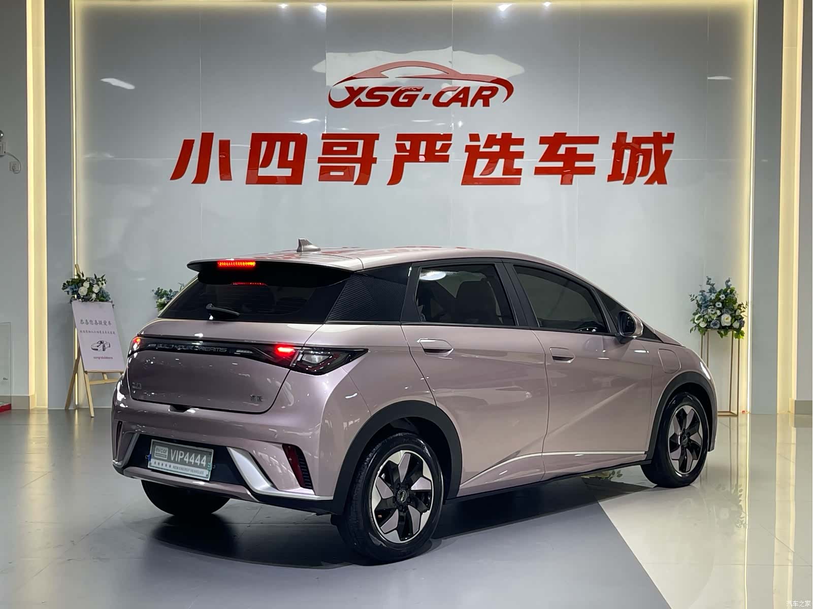 BYD Dolphin, 2024 4
