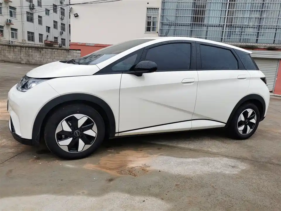BYD dolphin