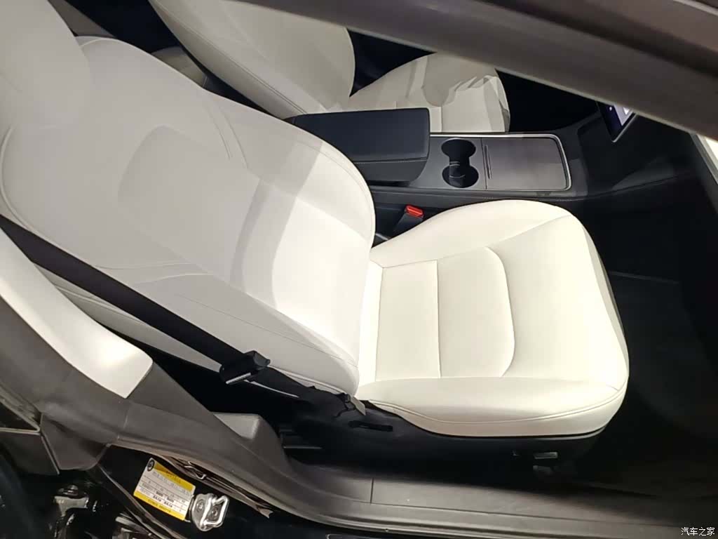 Tesla Model 3, 2021 25