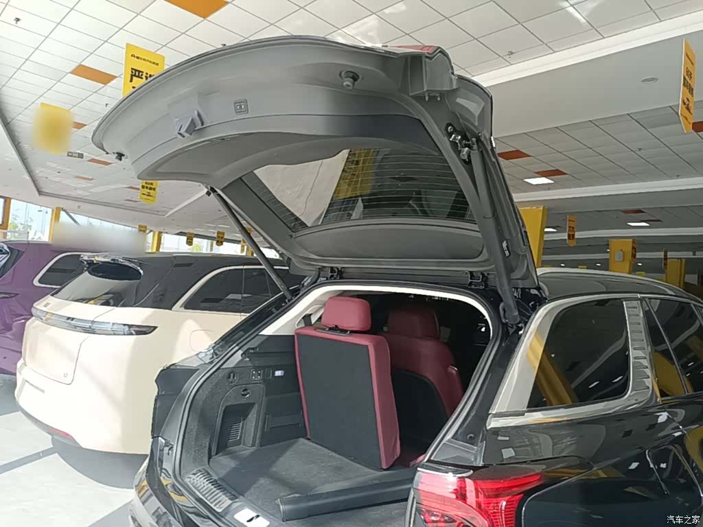 Hongqi E-HS9, 2023 19