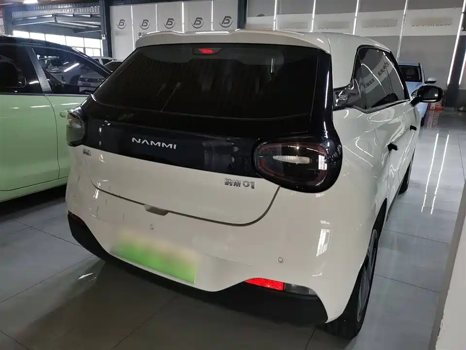 Dongfeng Nammi Nano 01