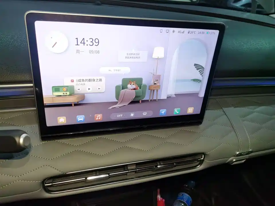 Dongfeng Nammi Nano 01