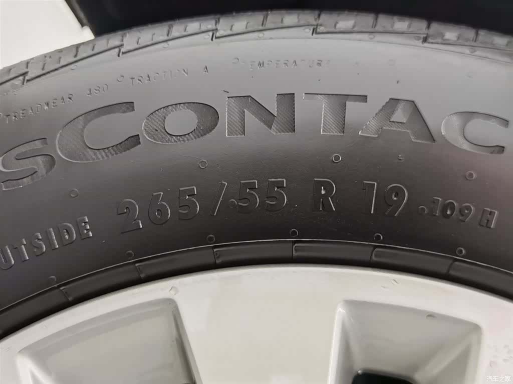 Tank 500, 2024 24