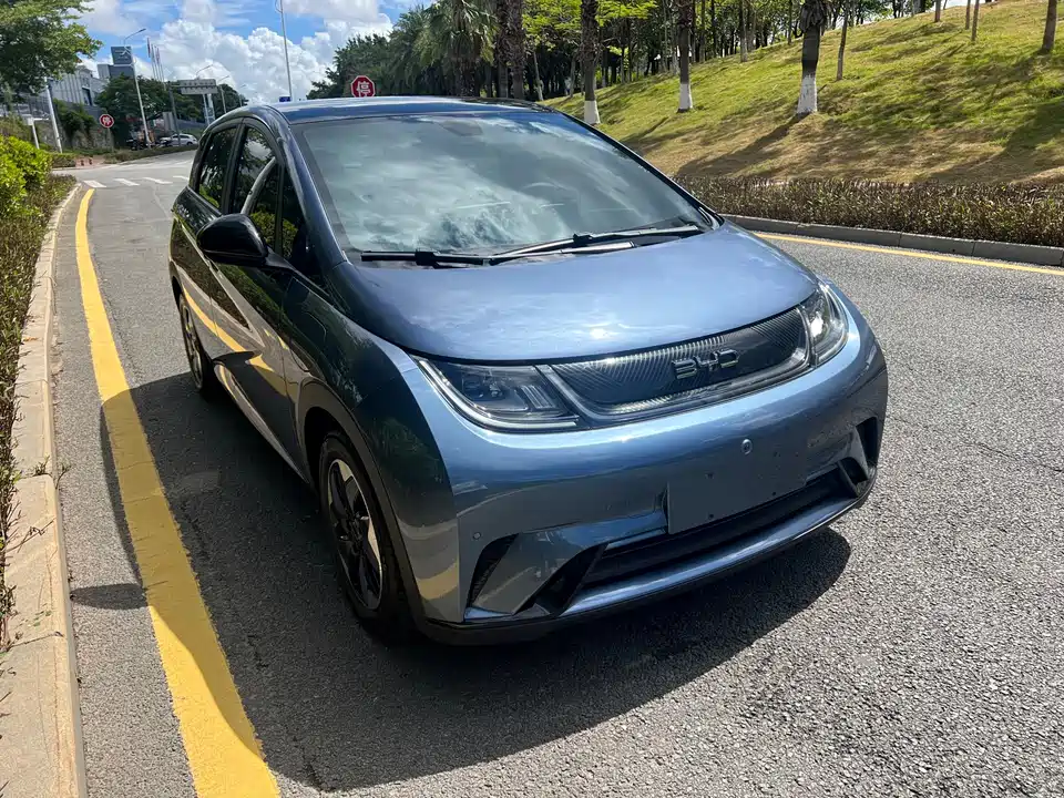 BYD dolphin