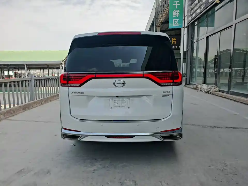 Trumpchi Trumpchi M8