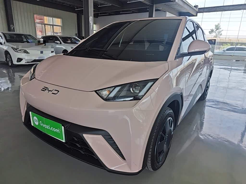BYD Seagull