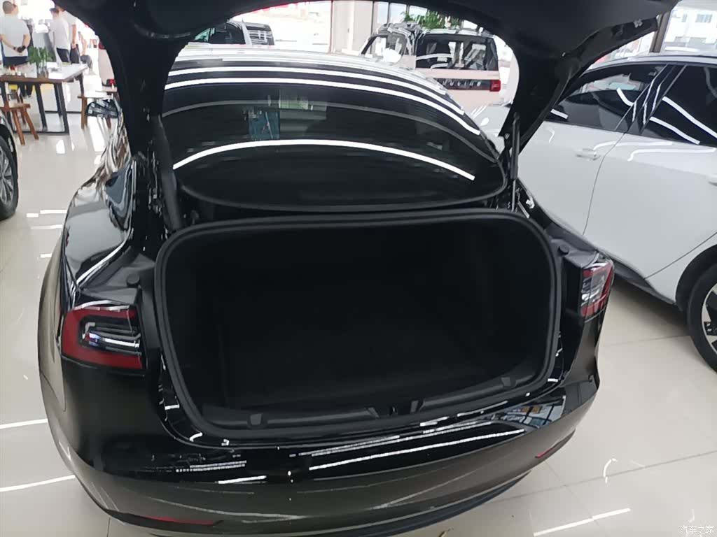 Tesla Model 3, 2021 19