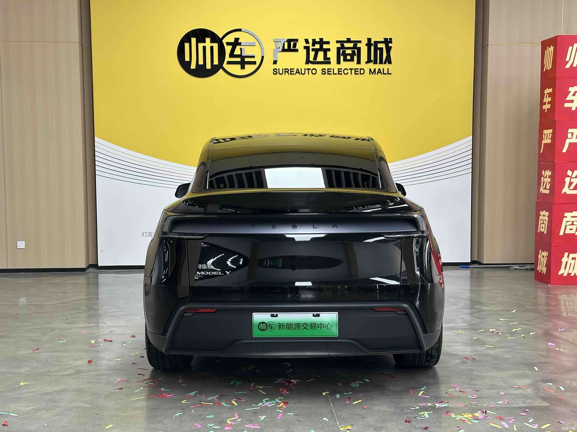Tesla Model Y, 2025 все фото