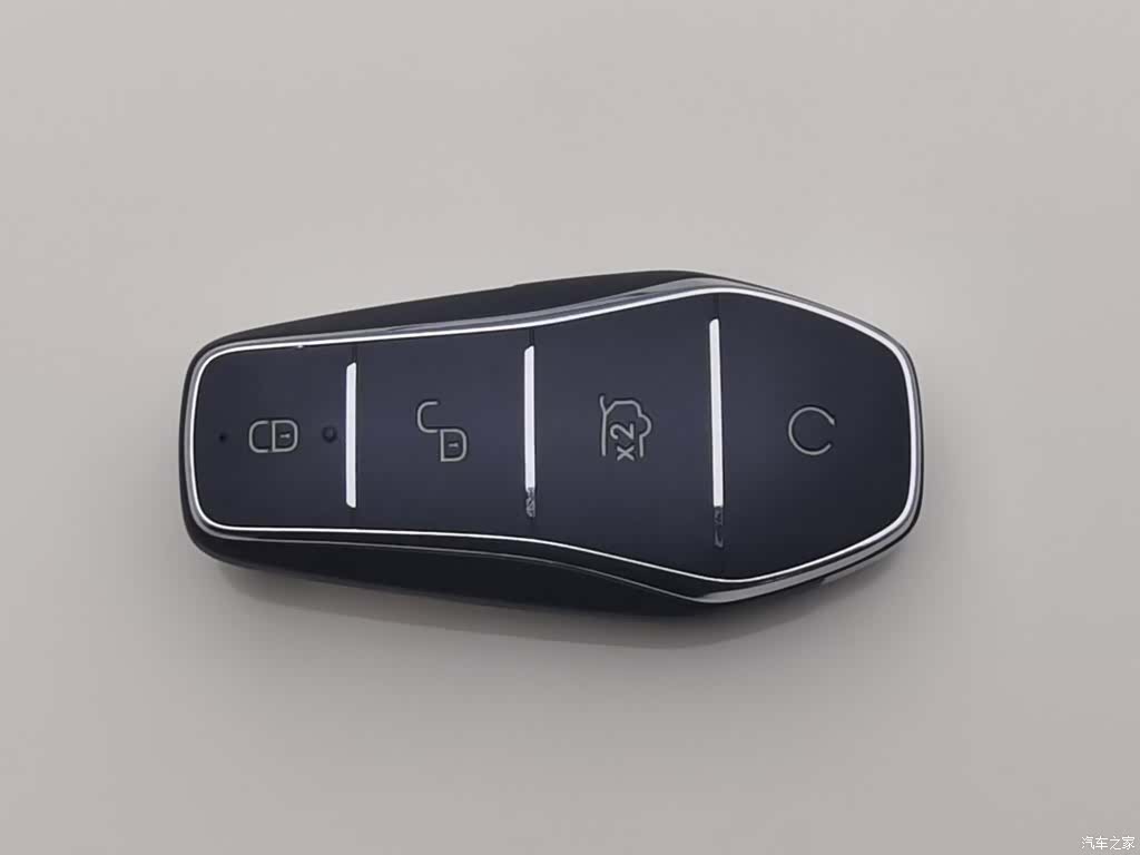 BYD Dolphin, 2024 19