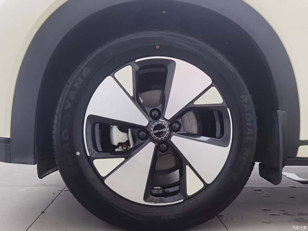 BYD Dolphin, 2024 17
