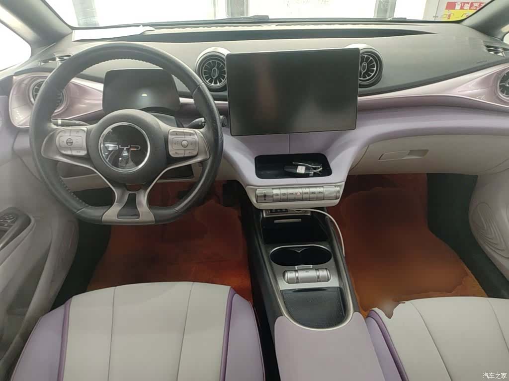 BYD Dolphin, 2023 10