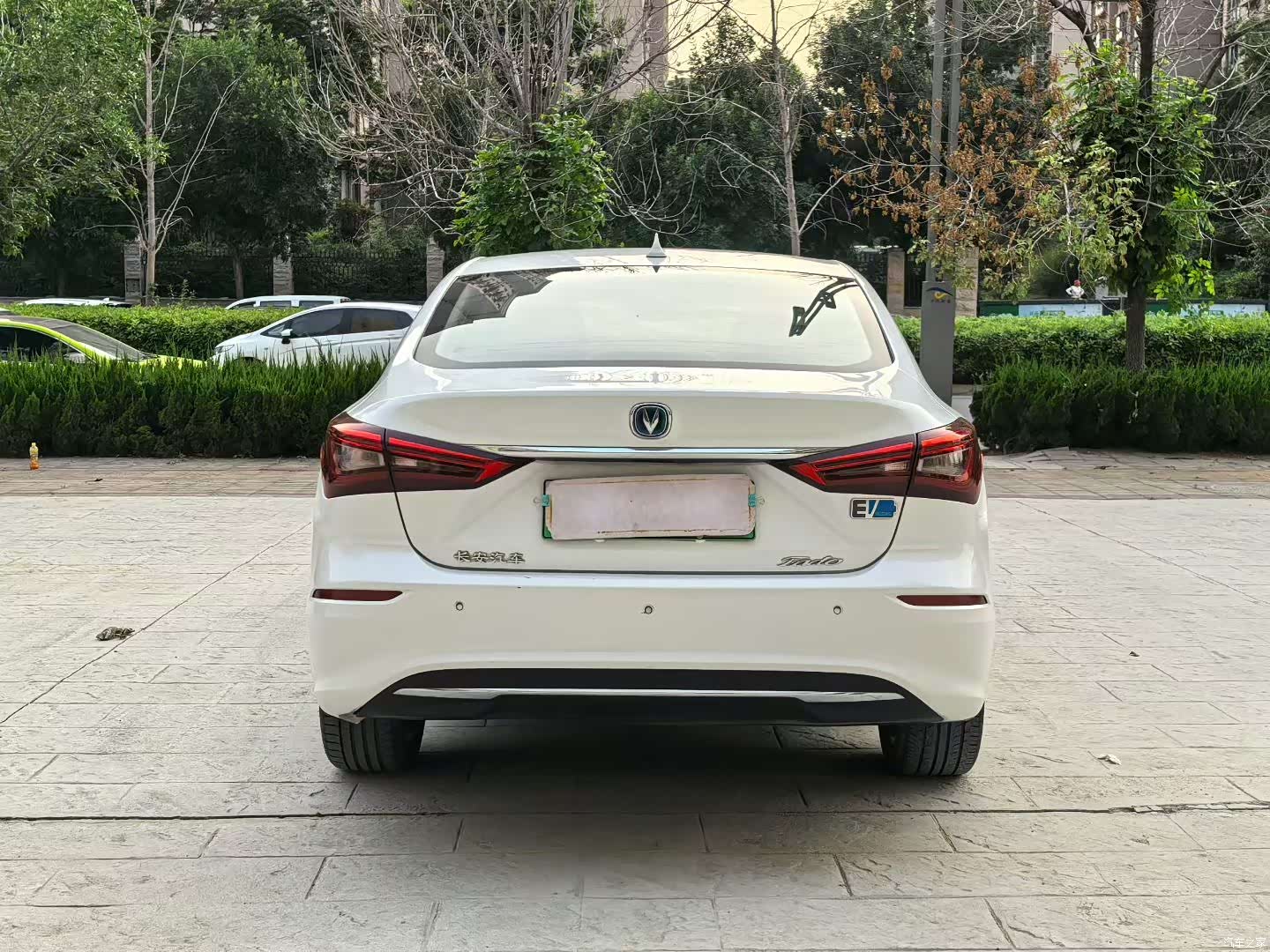 Changan Eado, 2020 8
