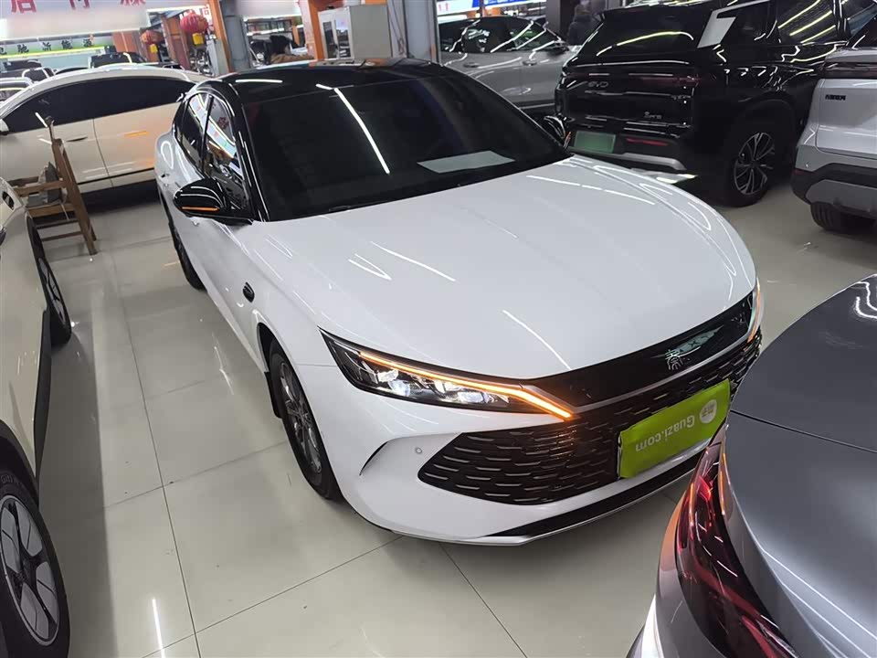 BYD Qin L