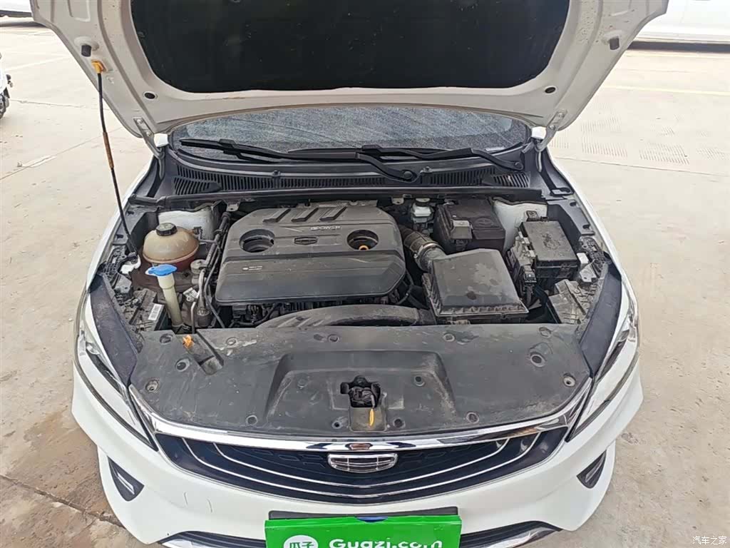 Geely Binray, 2020 19