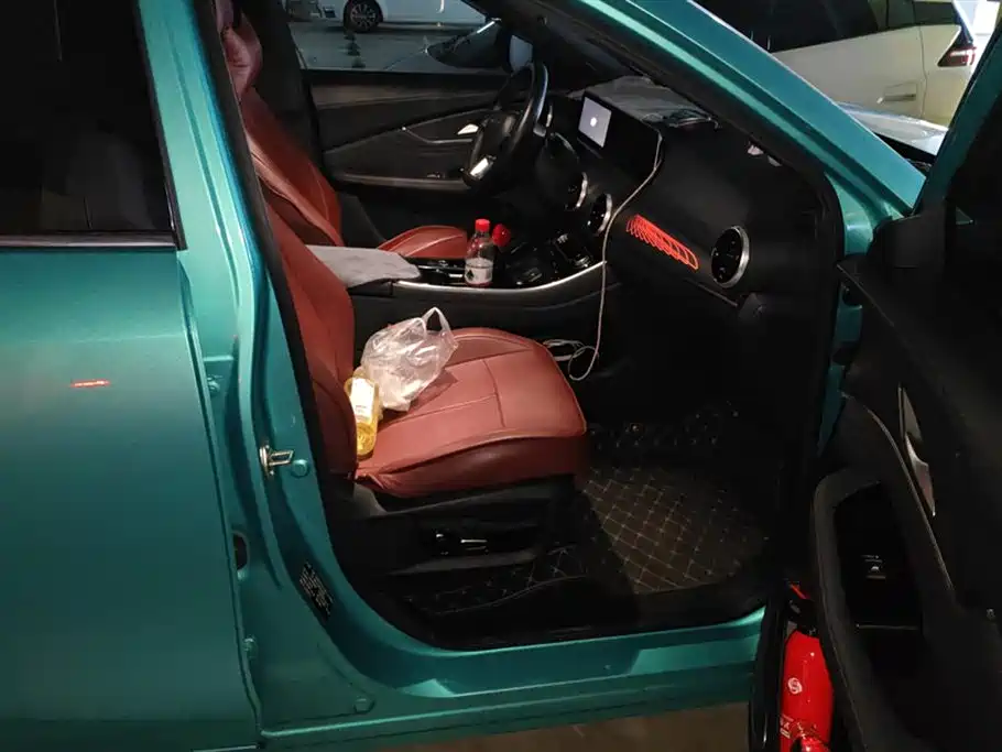 Forthing Popular T5 EVO