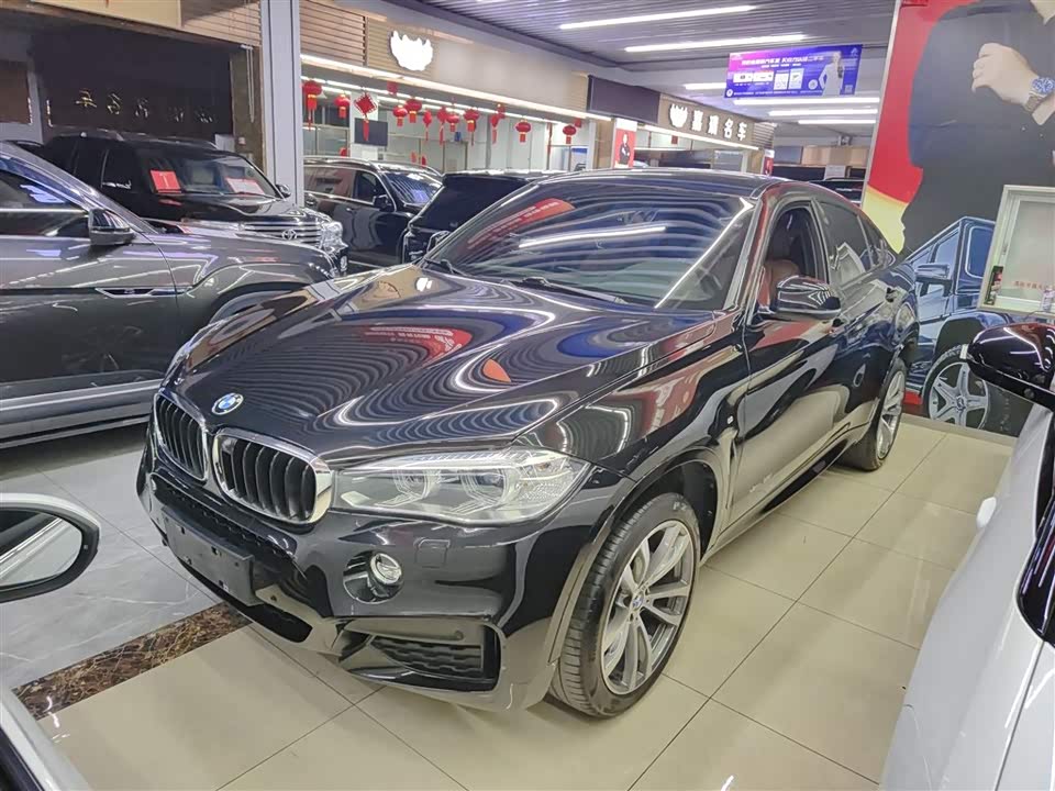 BMW X6