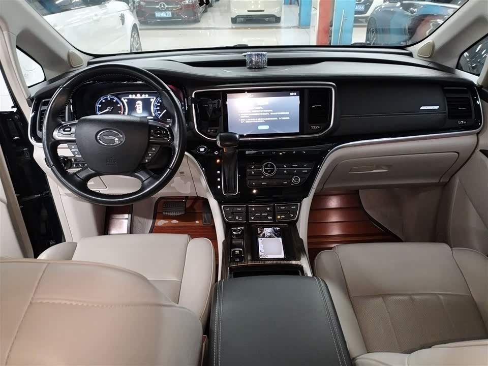 Trumpchi Trumpchi M8
