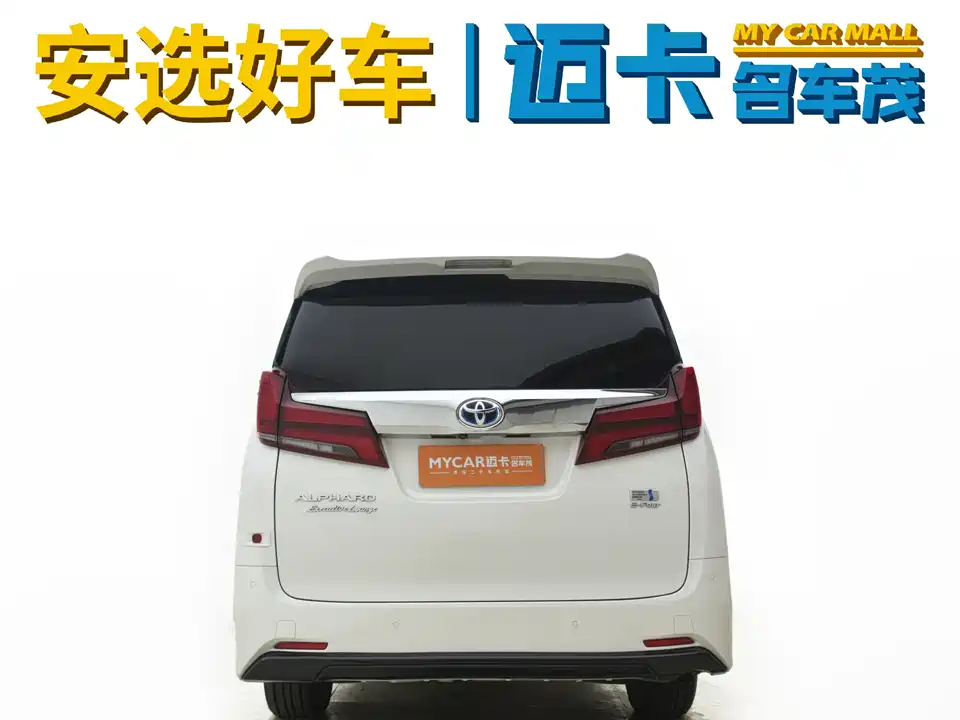 Toyota Elfa