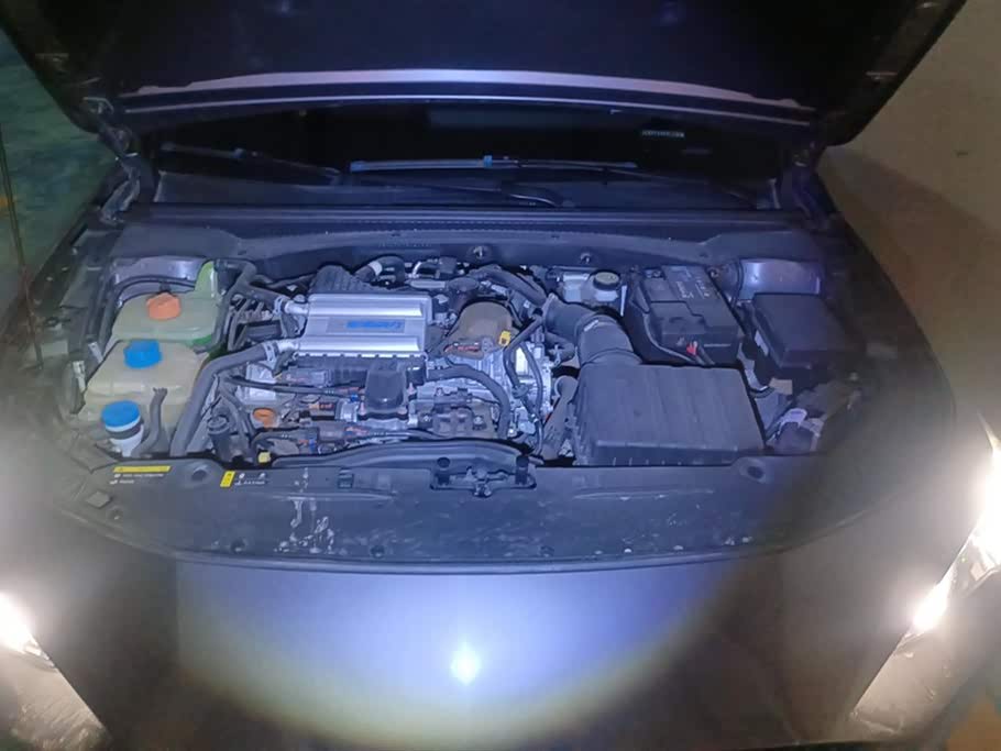 Trumpchi Shadow Leopard Trumpchi Shadow Leopard
