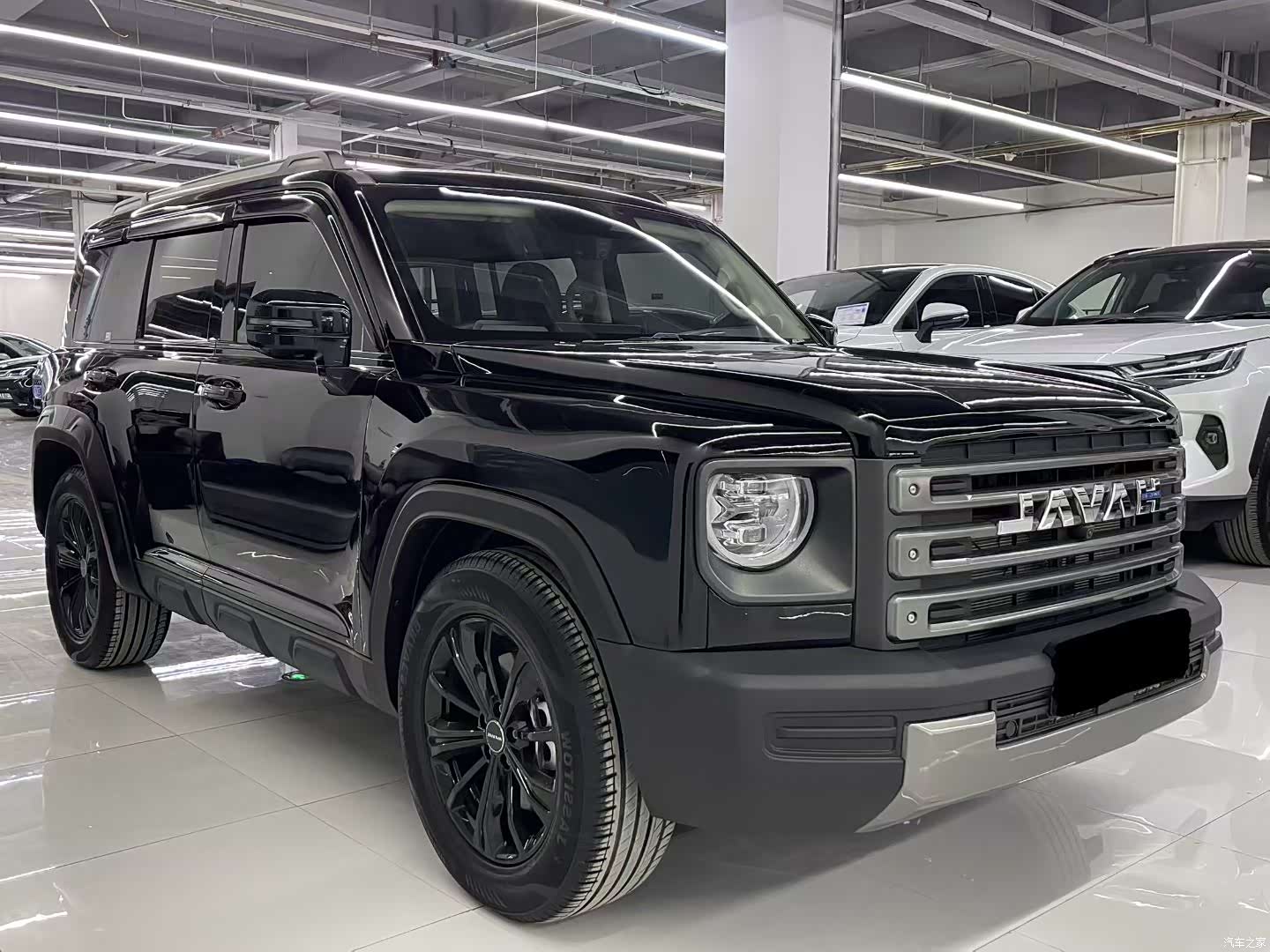 Haval Raptor, 2024 3
