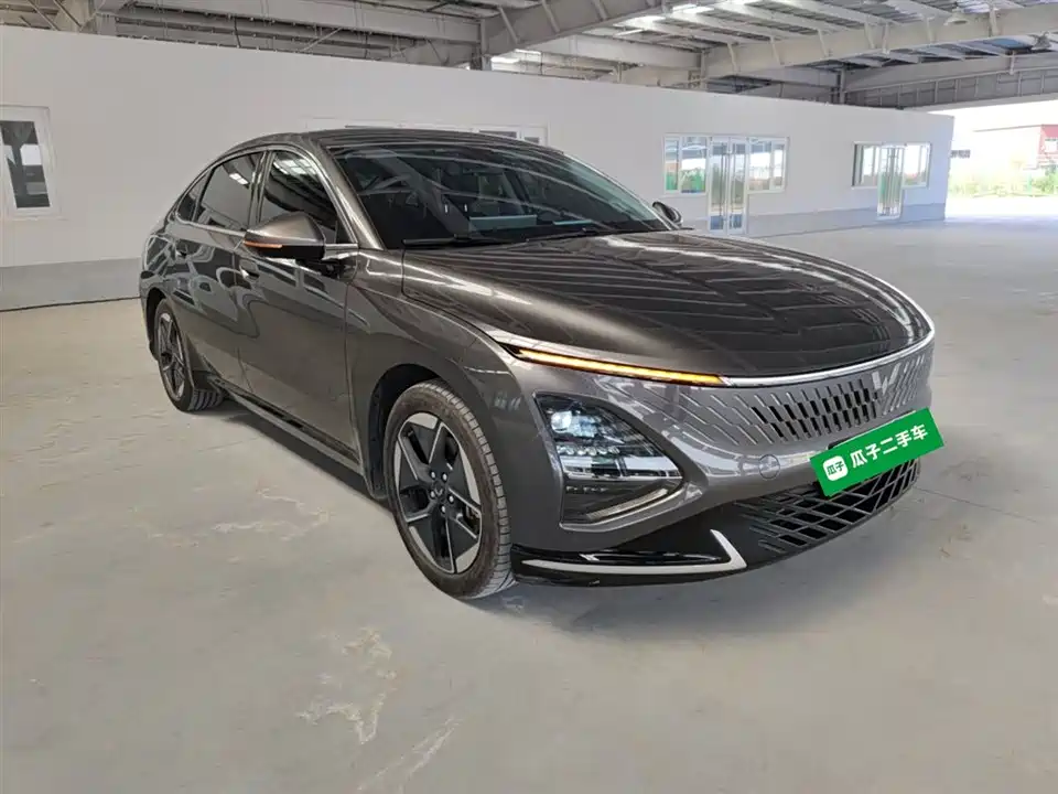 Wuling Wuling Starlight