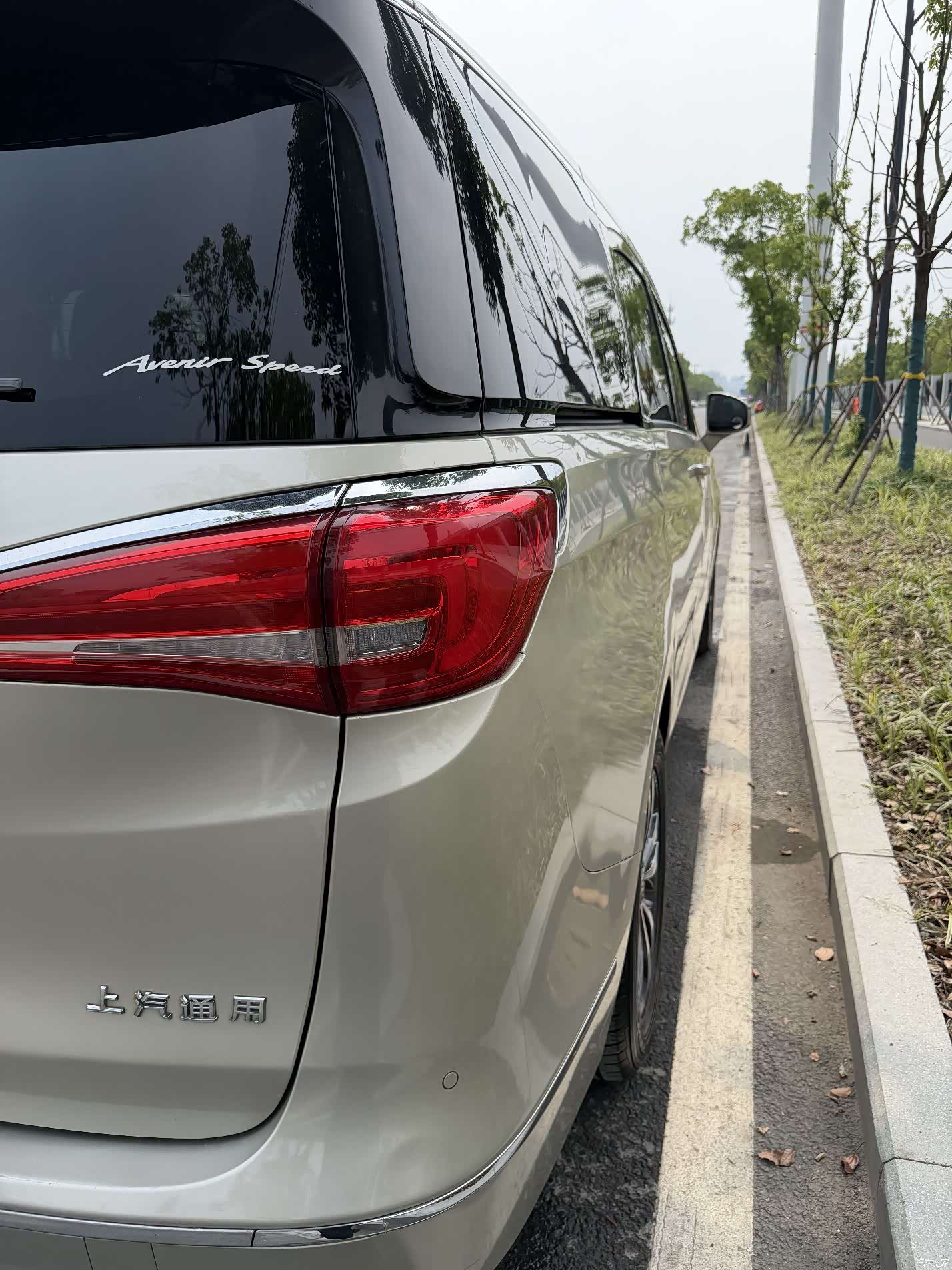 Buick GL8, 2019 11