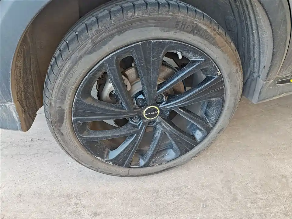 Roewe RX5 New energy