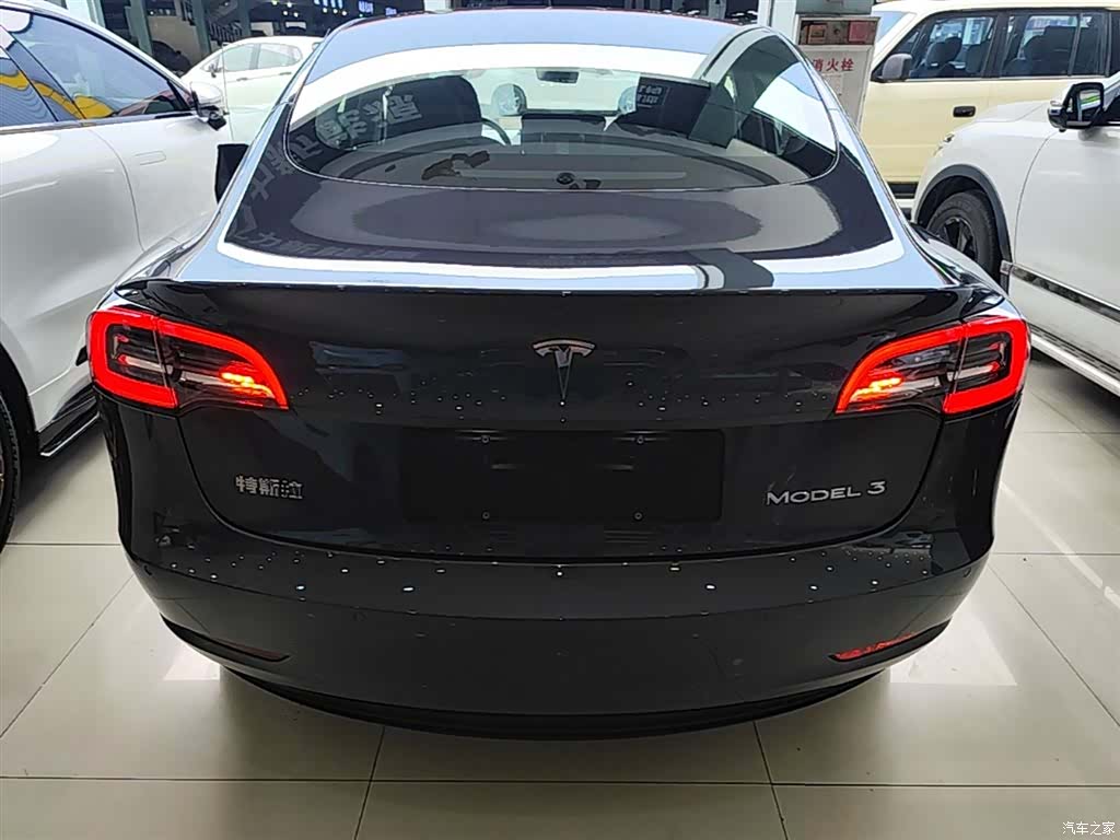 Tesla Model 3, 2021 6