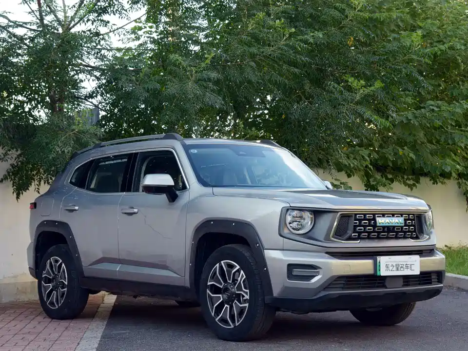 Haval Second-generation big dog