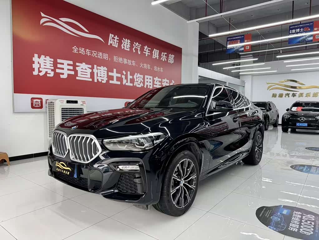 BMW X6