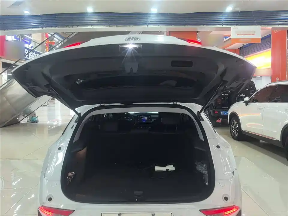 Buick Slightly blue 6