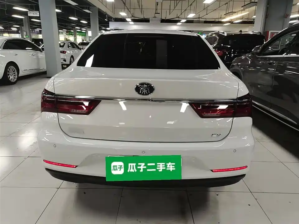 BYD Qinxin Energy