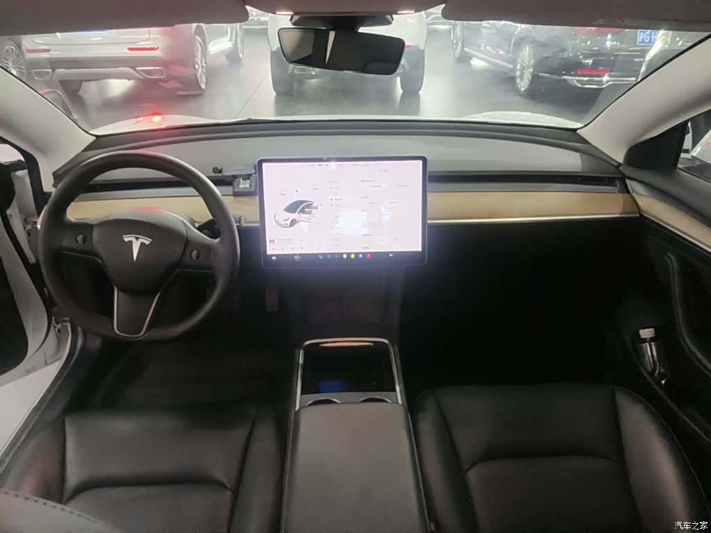 Tesla Model 3, 2021 10