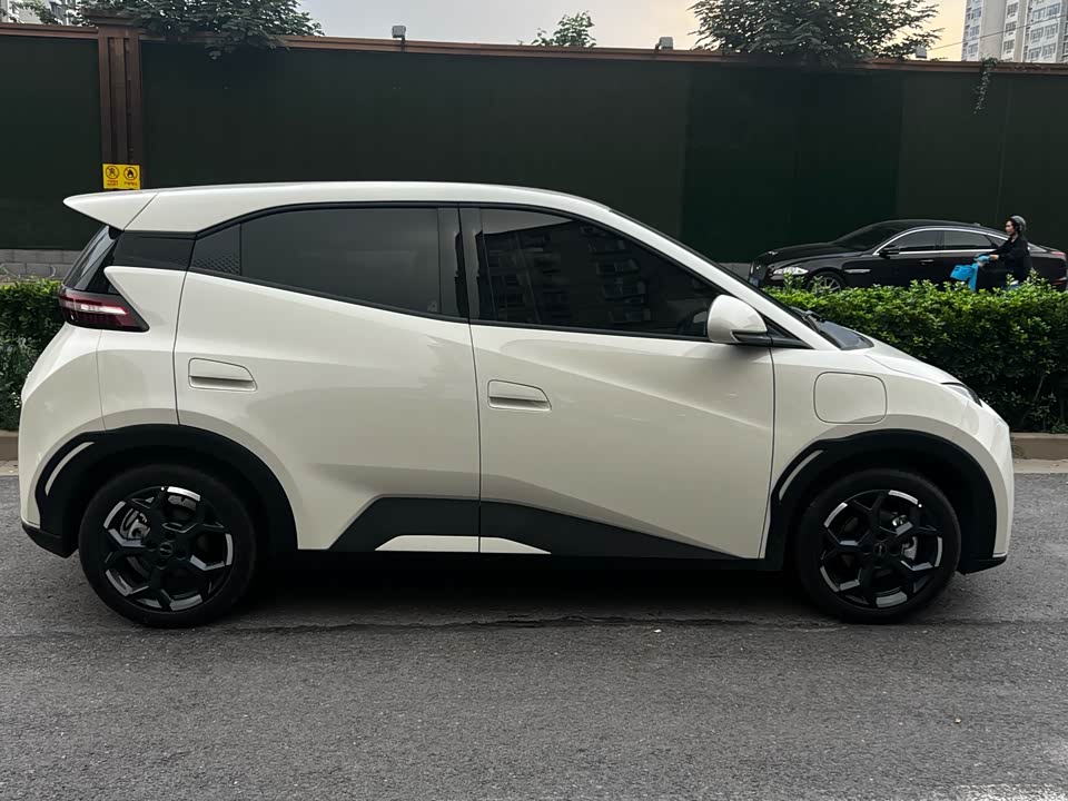 BYD Seagull