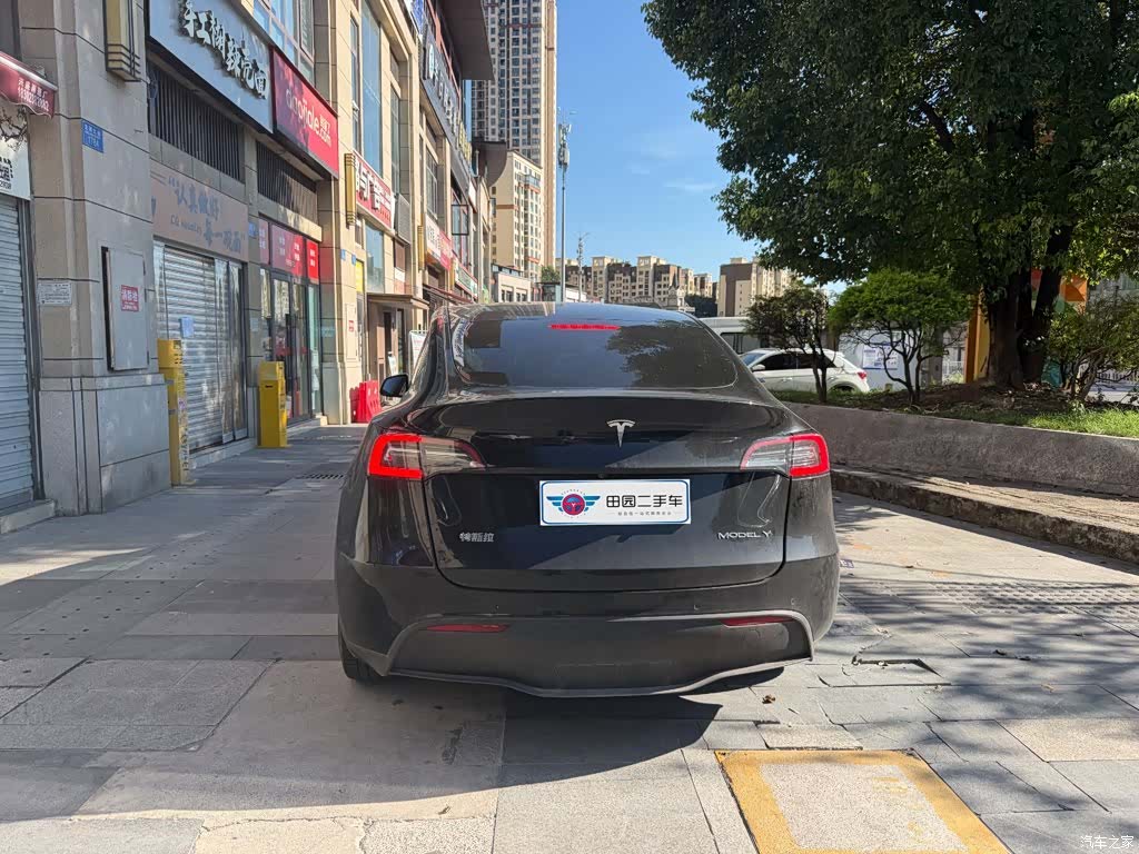 Tesla Model Y, 2021 все фото