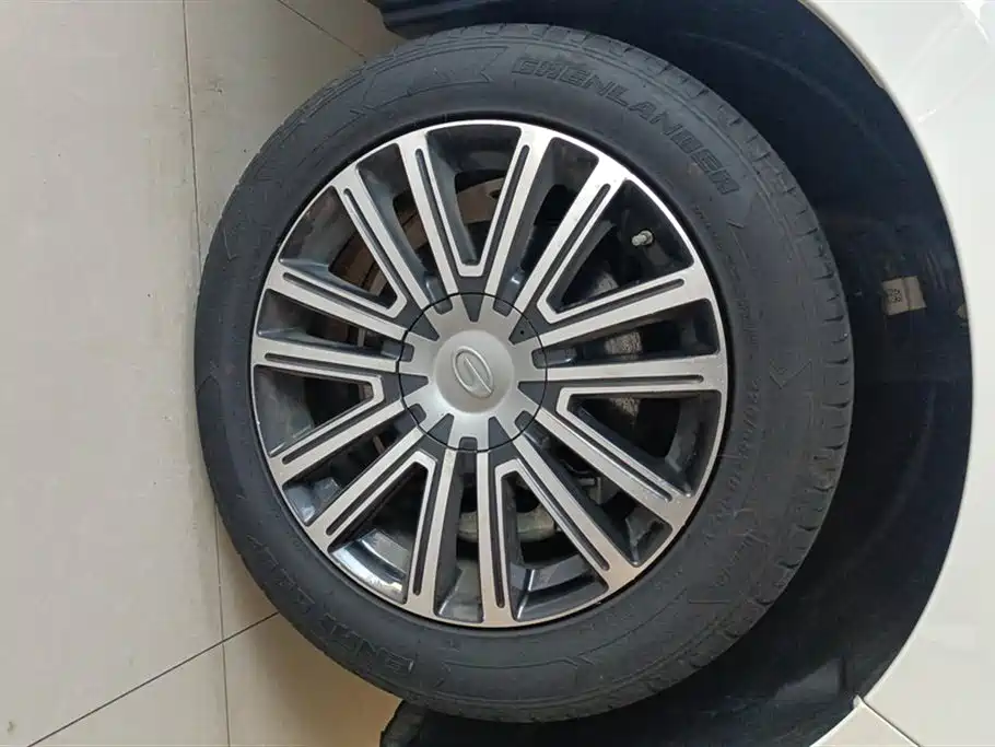 Trumpchi Trumpchi M8