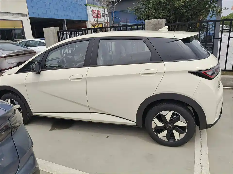 BYD dolphin