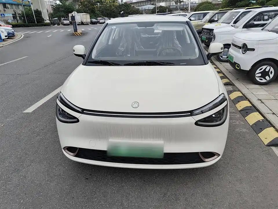 Dongfeng Nammi Nano 01