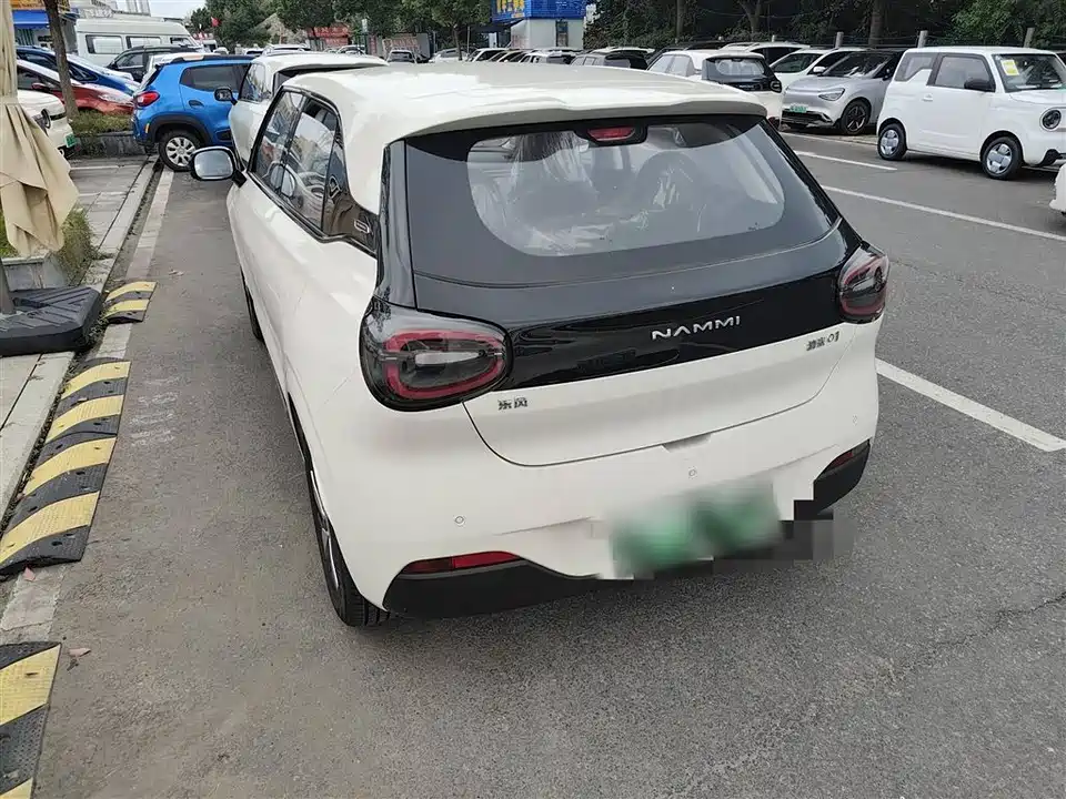 Dongfeng Nammi Nano 01