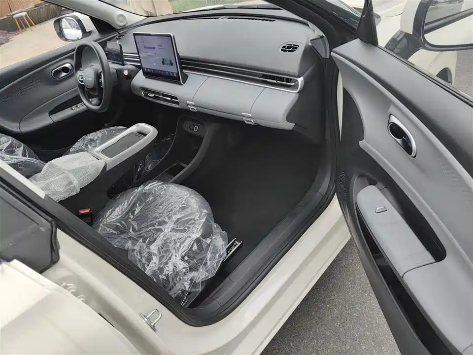 Dongfeng Nammi Nano 01