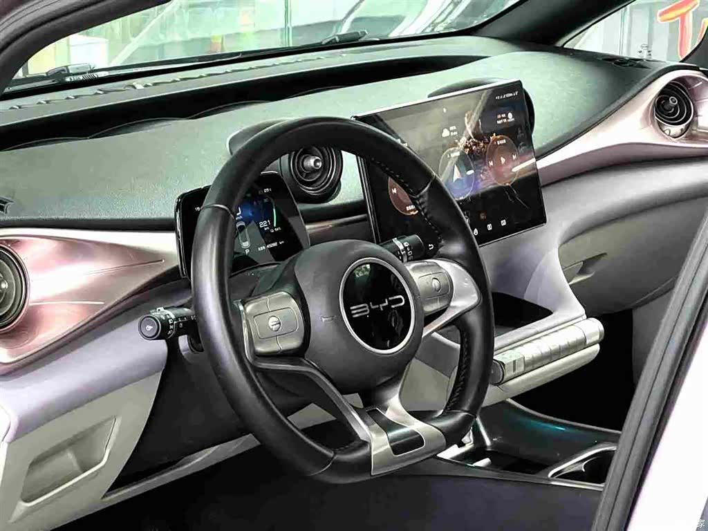 BYD Dolphin, 2024 8