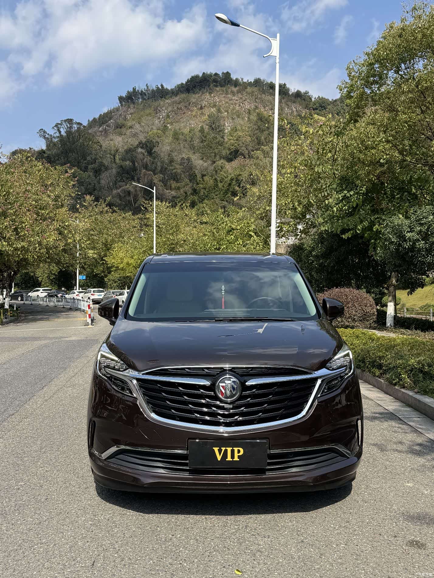 Buick GL8, 2021 1