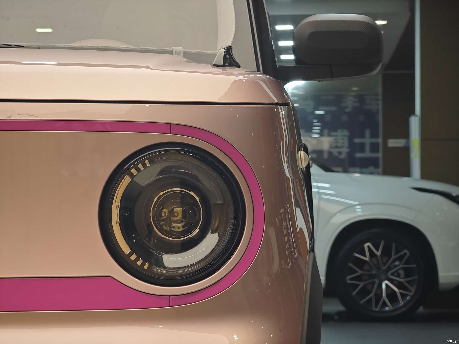 Geely Panda, 2025 2