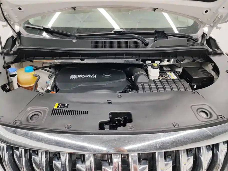 Trumpchi Trumpchi M8