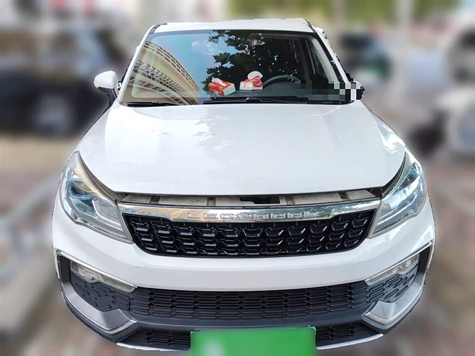 Leopaard Cheetah CS9