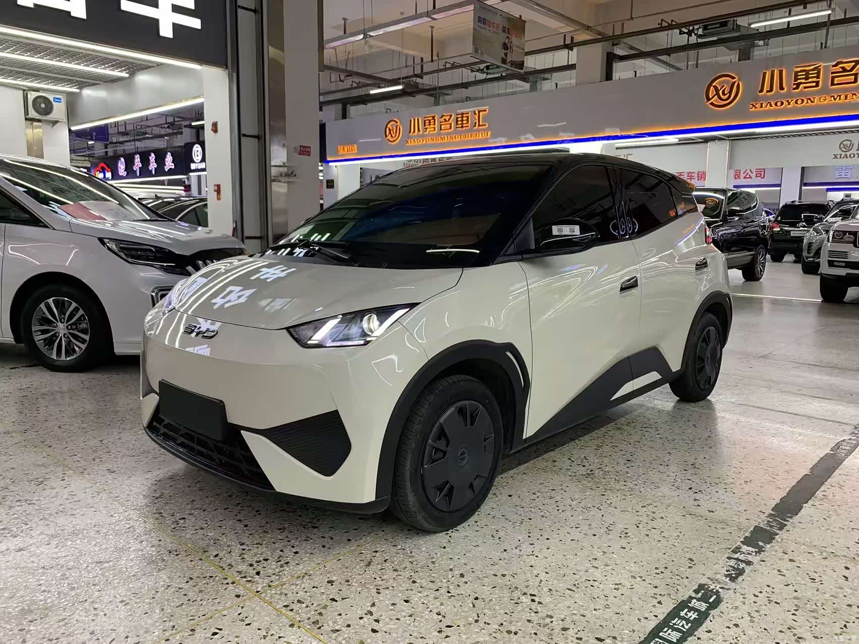 BYD Seagull