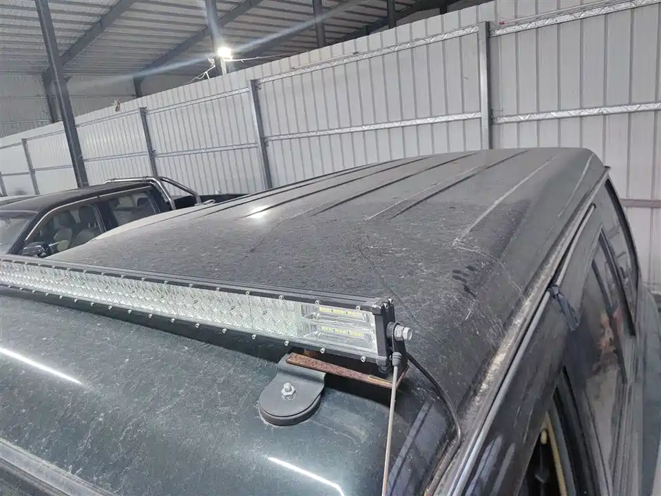 Leopaard Black King Kong