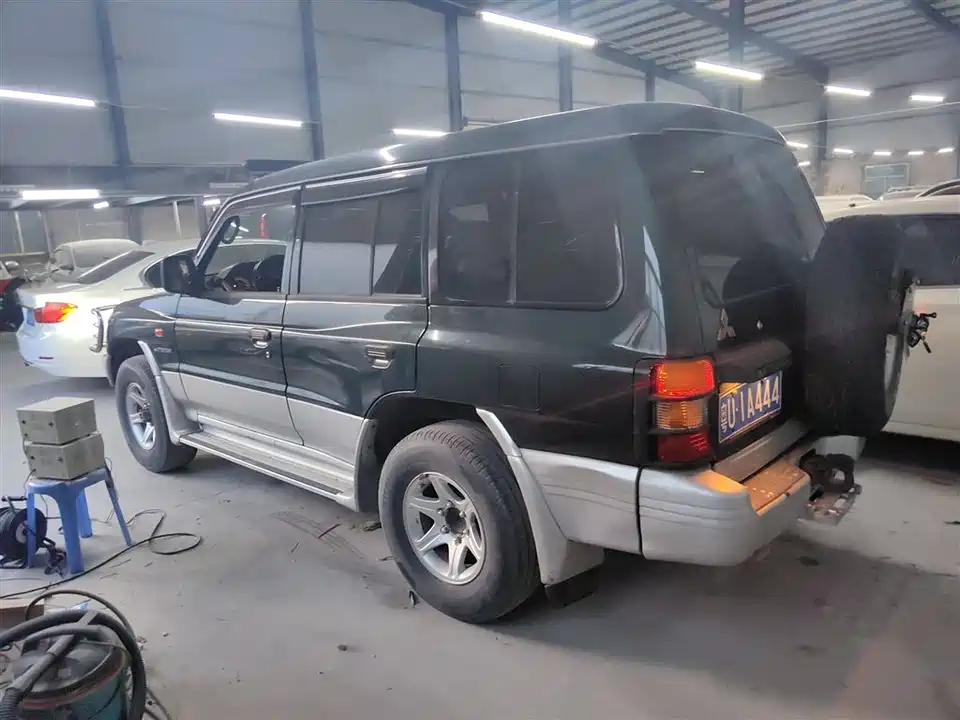 Leopaard Black King Kong